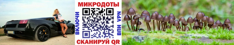 Псилоцибиновые грибы мухоморы  MEGA онион  Оса 